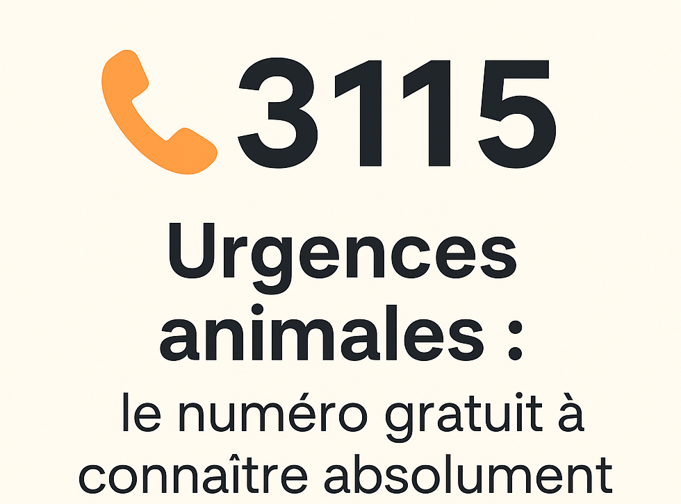Urgence animale