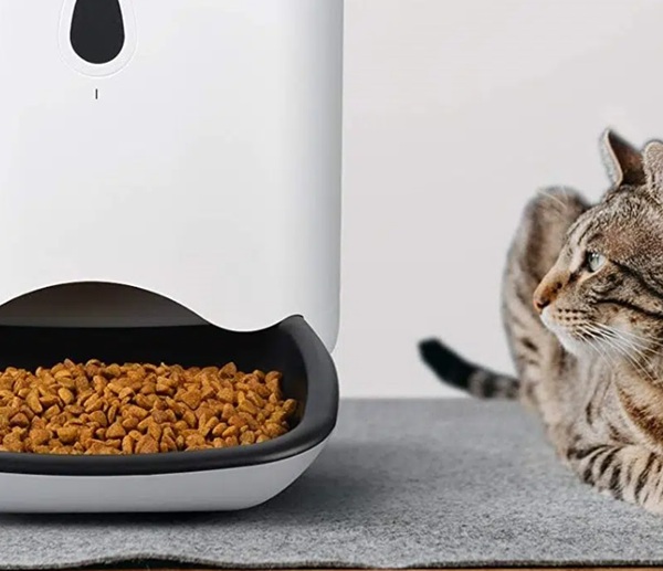 distributeur croquette chat