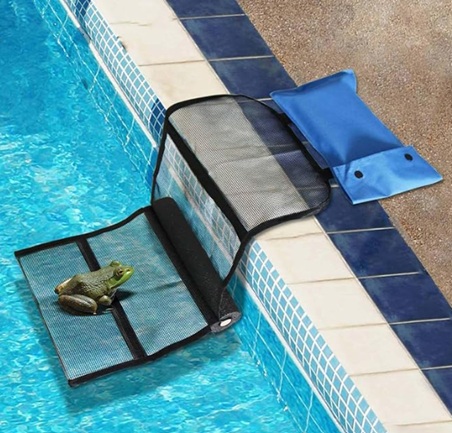 rampe-piscine-animaux