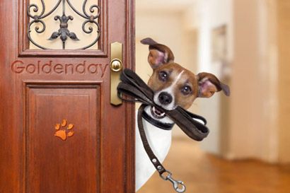 Décider quand lâcher la laisse-mini