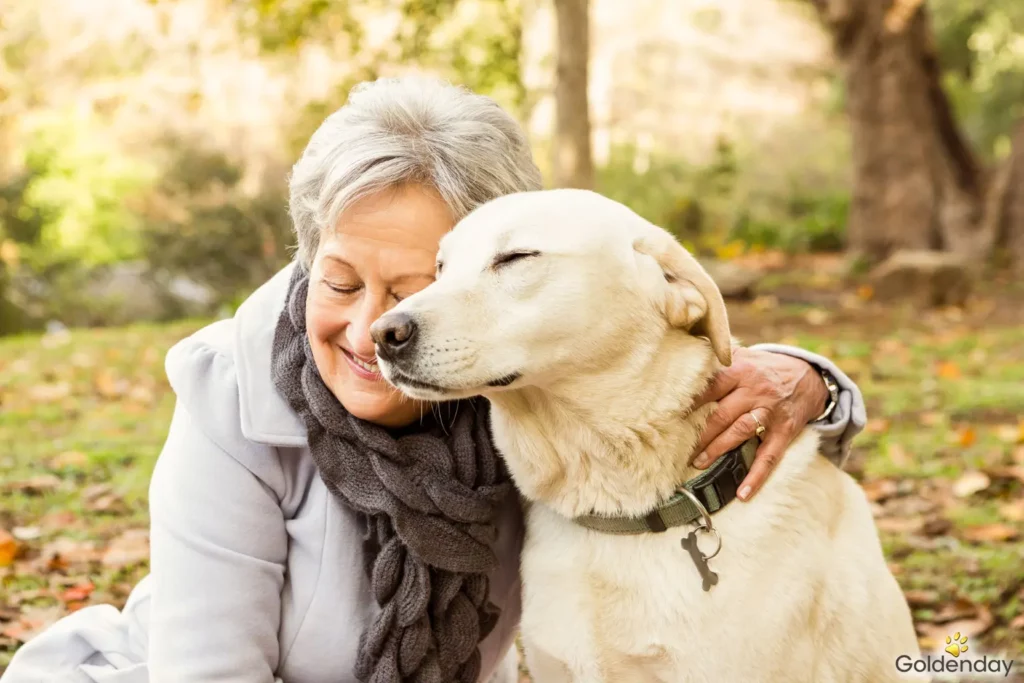 comment-faire-garder-son-chien