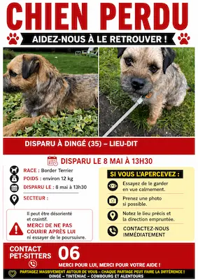 affiche disparation animal