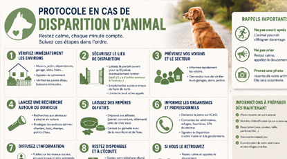 Protocole-disparition-animal