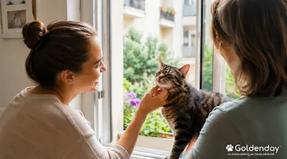 S’entraider entre propriétaires de chats