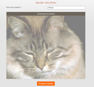 photo-chat