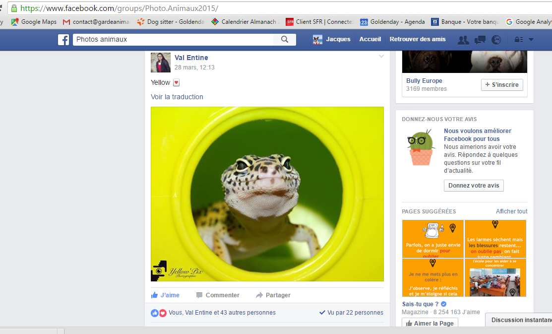 FACEBOOK FACEBOOK