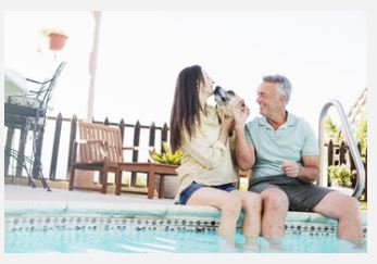 Chien au bord d'une piscine