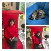 elisa73