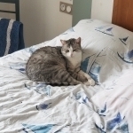 Kali