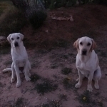 Oola et Obi