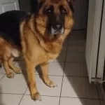NARKO