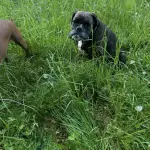 Mon bb 