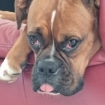 Simone 