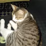 Koby