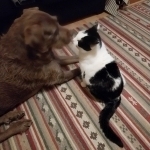 Jazzy et Mimine