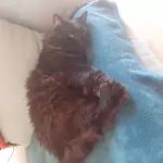 Frida