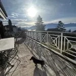 Sur la terrasse