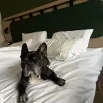 Éko tranquillou à l’hotel