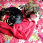 LUCIEN ET ANYNOU