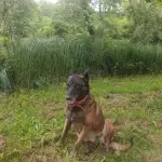 Lili