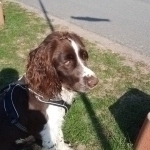 SALLY