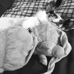 Nina et Doudou