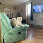 Loki