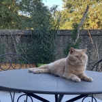 Jasper